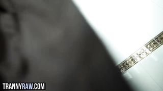 Big tits bound Brazilian shemale blows and rides a big cock stud